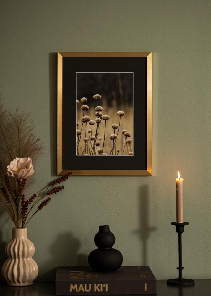 Ram med passepartou Frame Selection Gold 70x100 cm - Picture Mount Black 24x36 inches