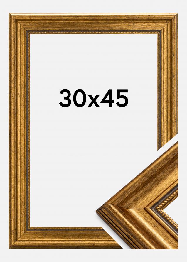 Estancia Frame Rokoko Acrylic glass Gold 11.81x17.72 inches (30x45 cm)
