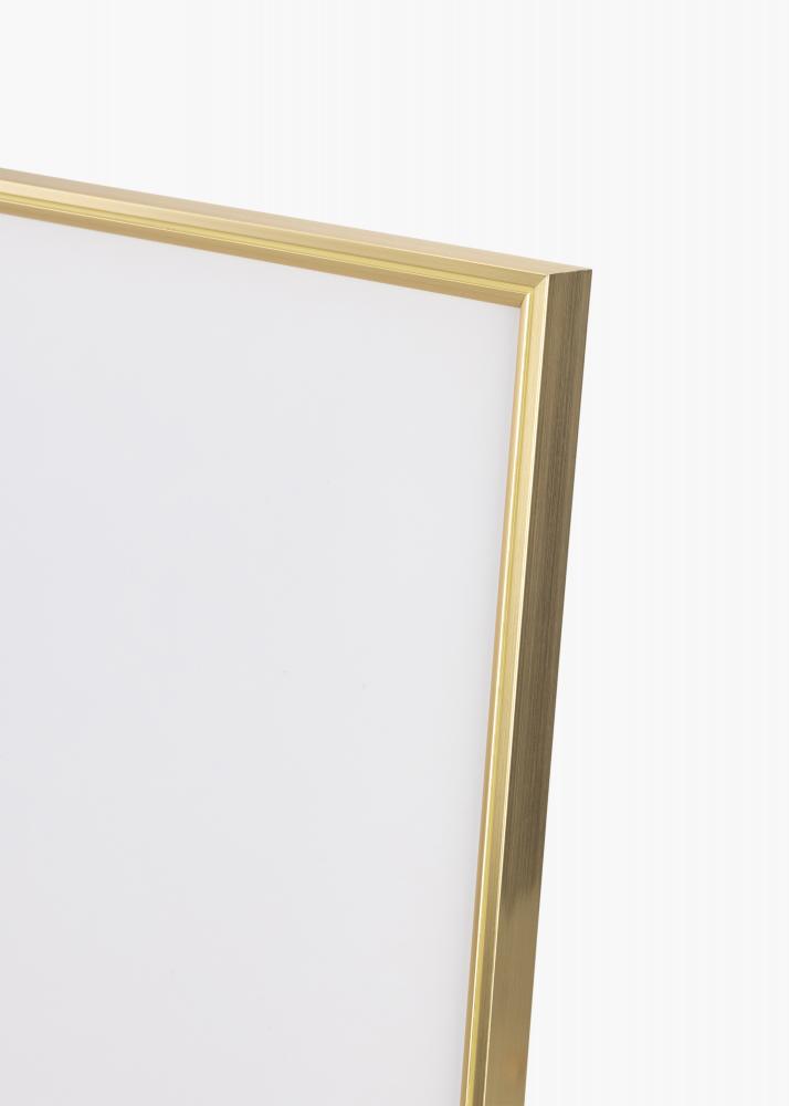 Walther Frame Hipster Acrylic Glass Gold 27.56x39.37 inches (70x100 cm)