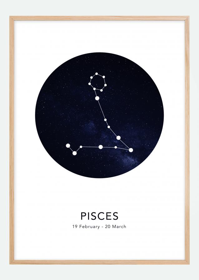 Bildverkstad Pisces Poster