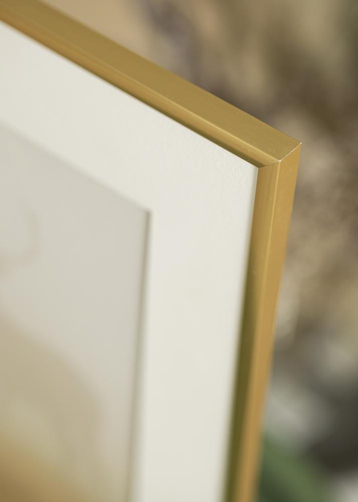 Ram med passepartou Frame New Lifestyle Shiny Gold 20x30 cm - Picture Mount White 10x20 cm