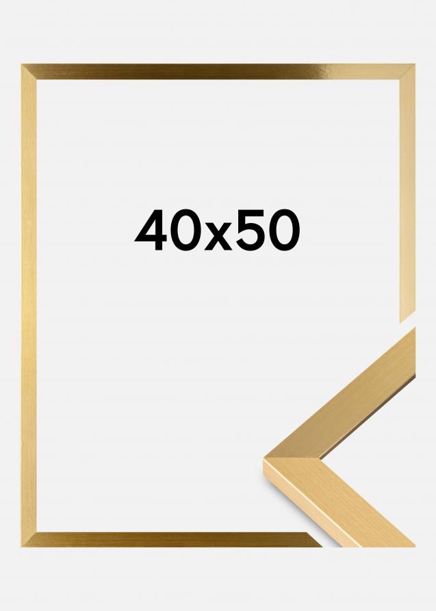 Artlink Frame Selection Acrylic Glass Gold 15.75x19.69 inches (40x50 cm)