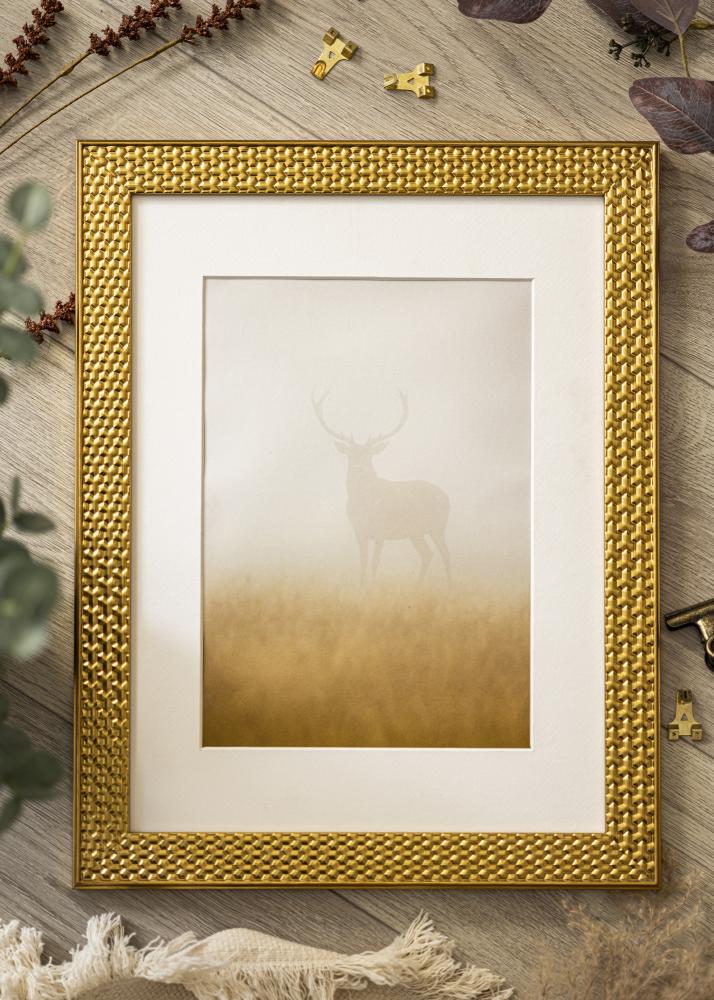 Artlink Frame Grace Acrylic Glass Gold 11.69x16.54 inches (29.7x42 cm - A3)