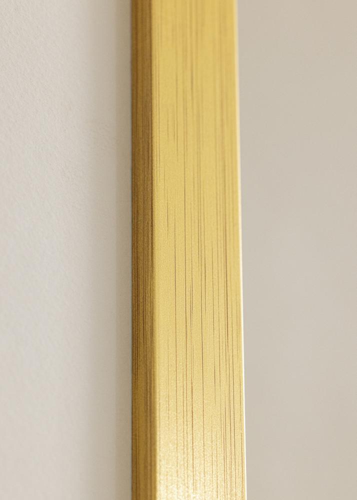 Galleri 1 Frame Gold Wood Acrylic glass 15.75x31.50 inches (40x80 cm)