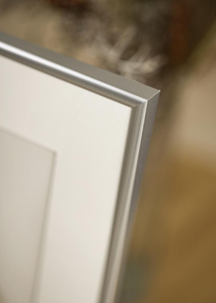 Estancia Frame Victoria Acrylic glass Silver 24.02x36.02 inches (61x91.5 cm)