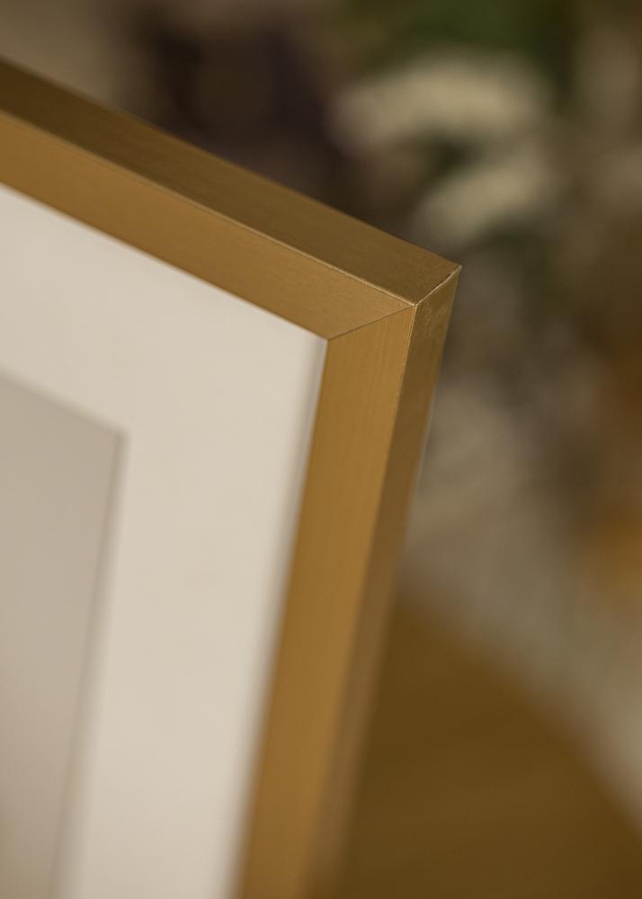 Artlink Frame Selection Acrylic Glass Gold 11.69x16.54 inches (29.7x42 cm - A3)