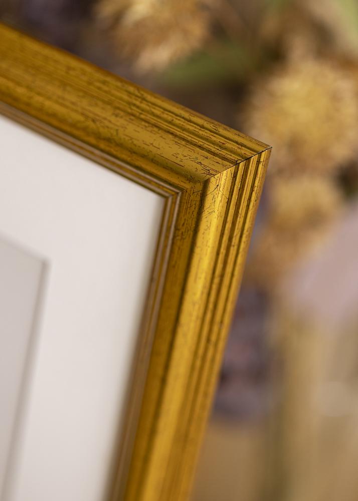 Galleri 1 Frame Vstkusten Acrylic glass Gold 13.78x13.78 inches (35x35 cm)