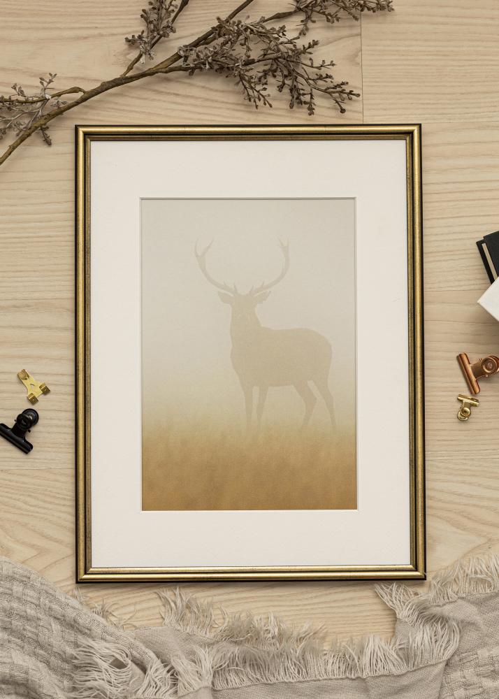 Ram med passepartou Frame Horndal Gold 24x30 cm - Picture Mount White 7x9 inches