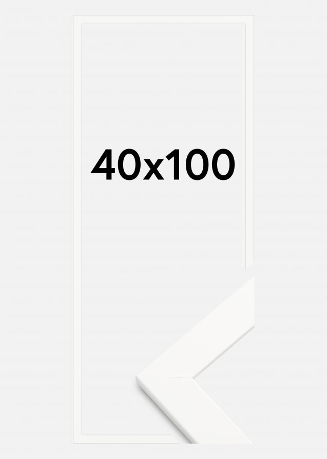Artlink Frame Trendline Acrylic Glass White 15.75x39.37 inches (40x100 cm)