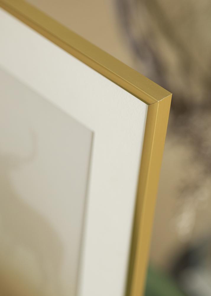 Walther Frame New Lifestyle Acrylic glass Gold 23.62x31.50 inches (60x80 cm)
