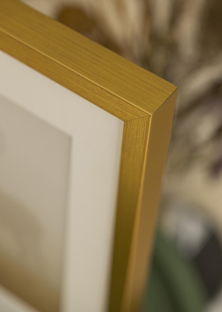 Galleri 1 Frame Falun Acrylic glass Gold 27.56x39.37 inches (70x100 cm)