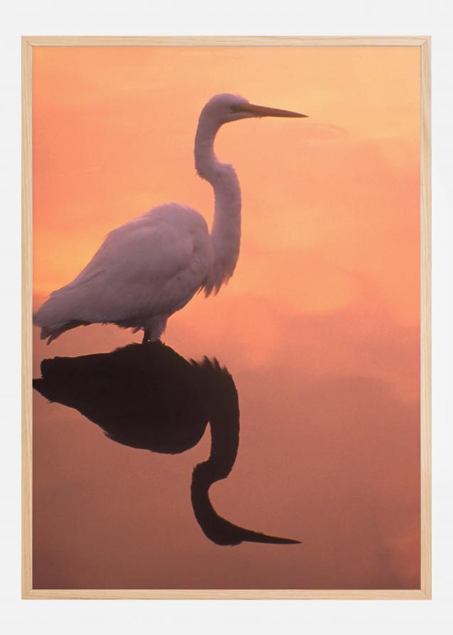 Bildverkstad Bird In Orange Water Poster