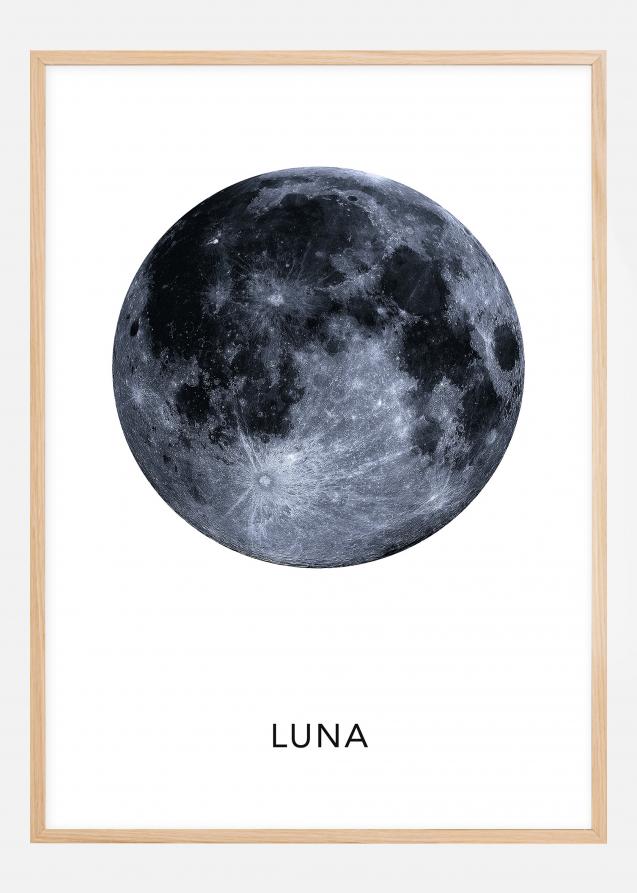 Bildverkstad Luna Poster