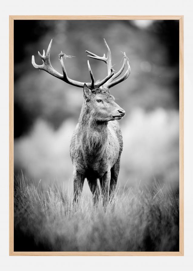 Bildverkstad Deer With Horns Poster