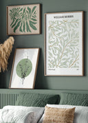 three framed botanical prints on a sage green wall above a bed.