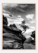 Brimham Poster