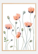 Poppies Poster I