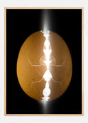 Alien egg Poster