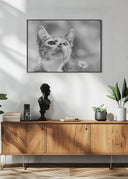 Curious Poster