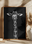 Giraffe Portrait Poster
