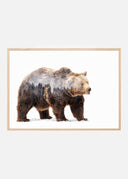 Bear Poster 2