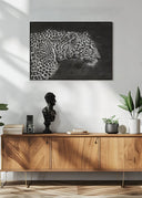 Leopard Close Up Poster