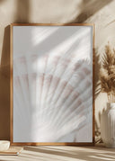 Shell Poster