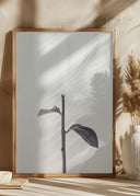 Peony 18 Poster