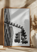 New York City Doves Poster