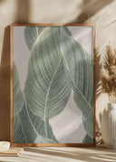 Calla Leaf Poster