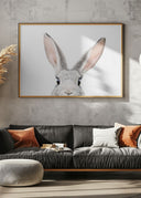 Peeking Bunny Poster