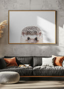 Peeking Hedgehog Poster