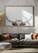 Peeking Longhorn Cow Poster