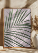 Palm Leaf Shadow Poster