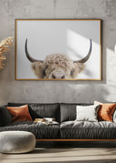 Peeking Cow Poster