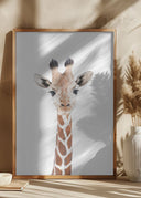 Baby Giraffe Poster