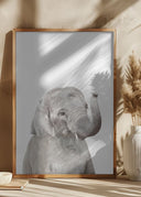 Baby Elephant Poster