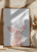 Baby Pig Poster