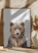 Baby Bear Poster