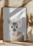 Baby Deer Poster