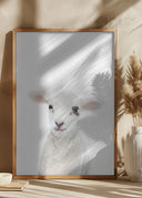 Baby Lamb Poster