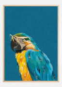 Vibrant macaw wearing glasses Poster