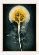 Dandelion Poster I