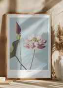 Lotus Flowers Poster