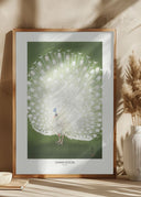 Peacock - Cropped Poster