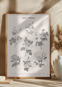 Roses Poster