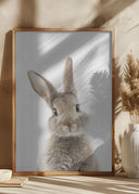 Peekaboo Bunny Poster
