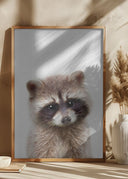 Peekaboo Raccoon Poster