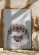 Peekaboo Hedgehog Poster