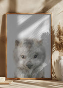 Peekaboo Baby Wombat Poster